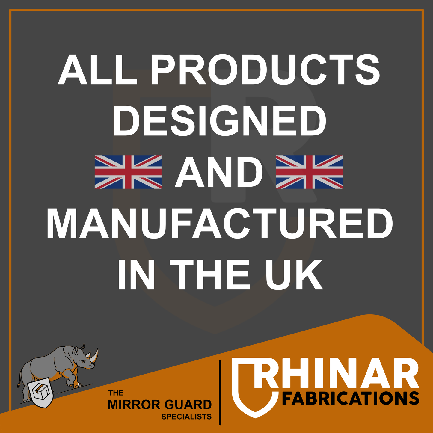 DAF LF Mirror Guard (Stainless steel) Pair