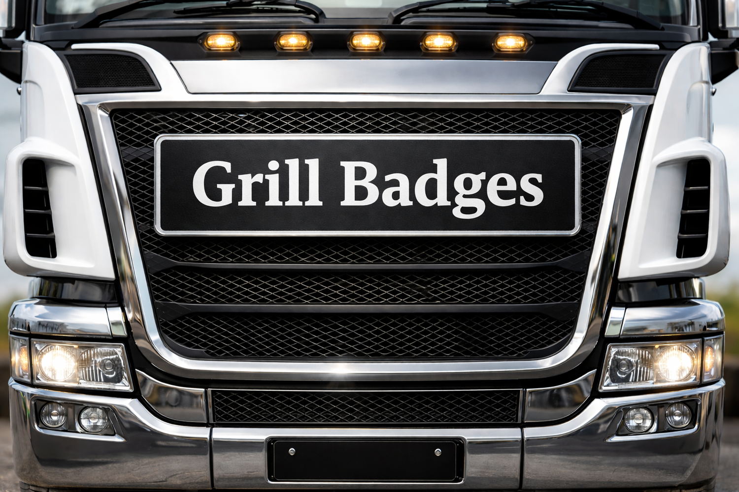 Volvo Grill badges