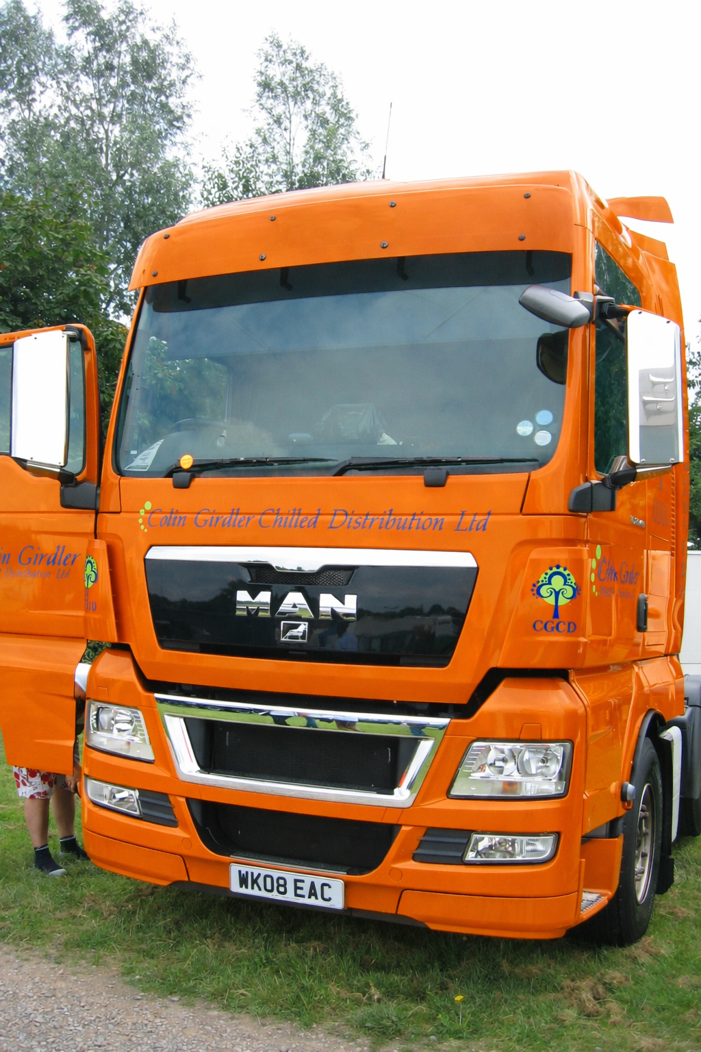 MAN TGX Mirror Guard (Stainless steel) Pair