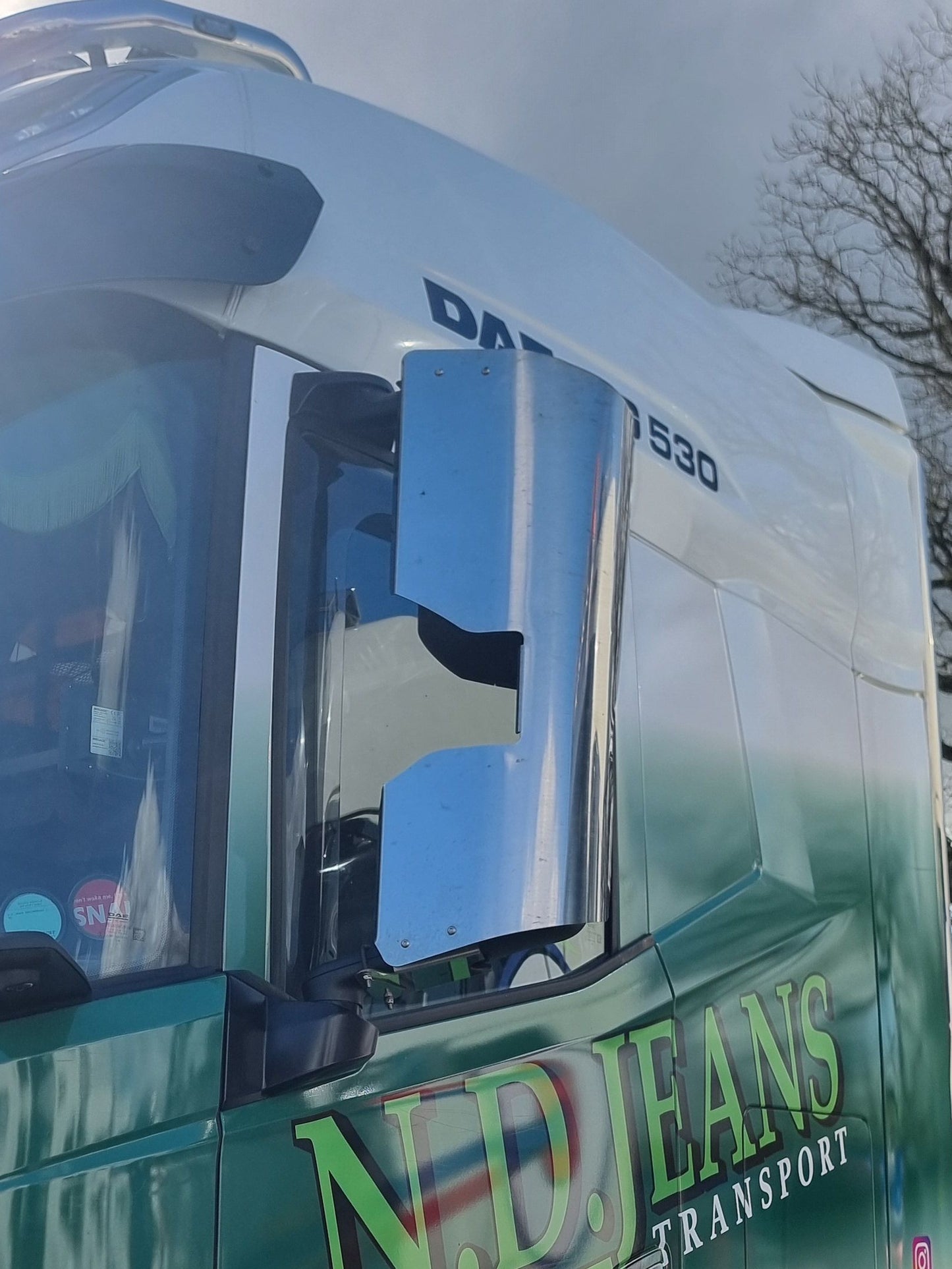 DAF XG XD XF Mirror Guard (Stainless steel) Pair
