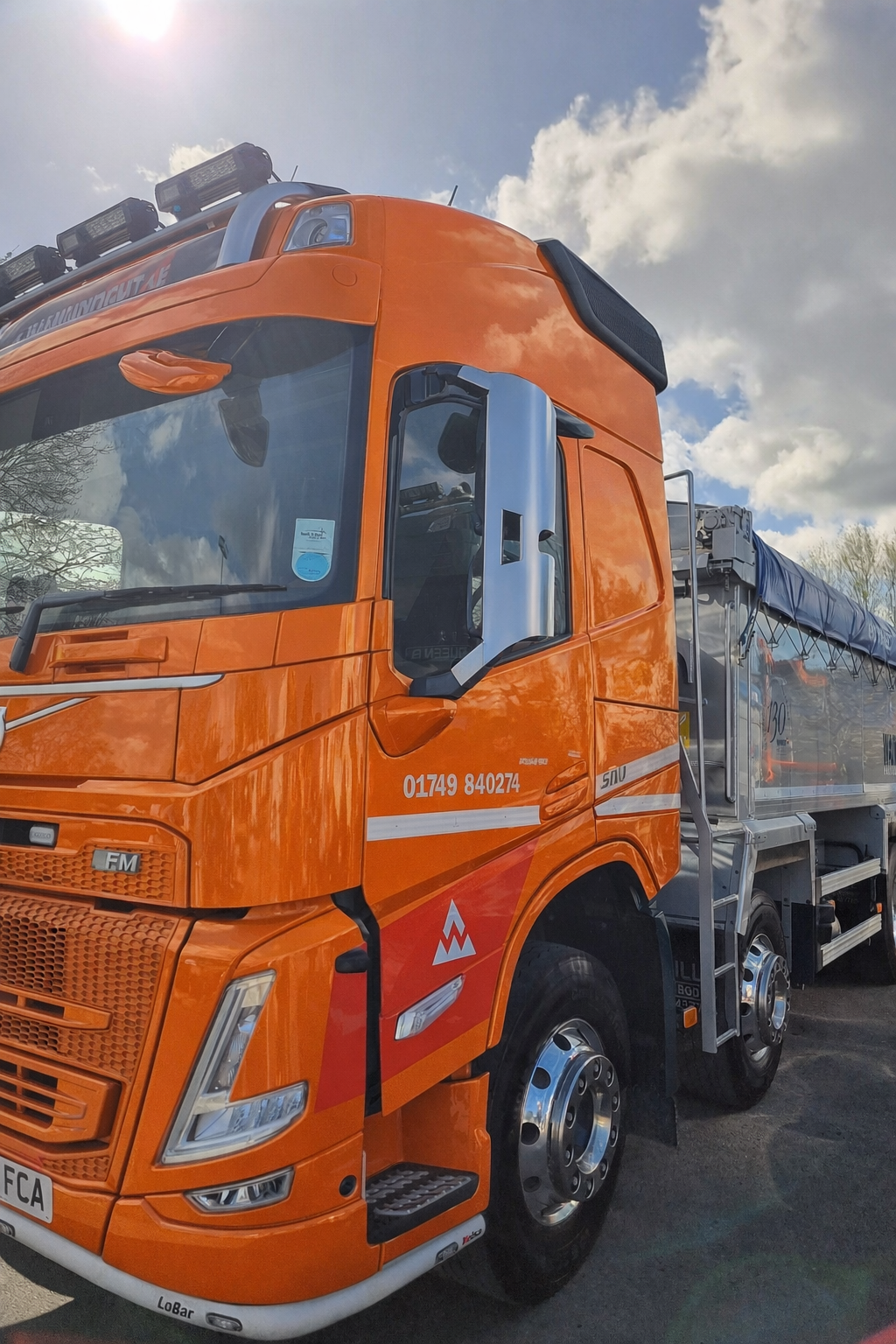 VOLVO FH V4/5 Mirror Guard (Stainless steel) Pair