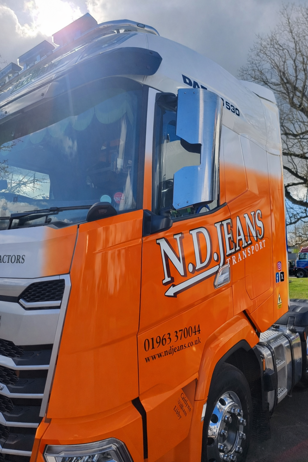 DAF XG XD XF Mirror Guard (Stainless steel) Pair